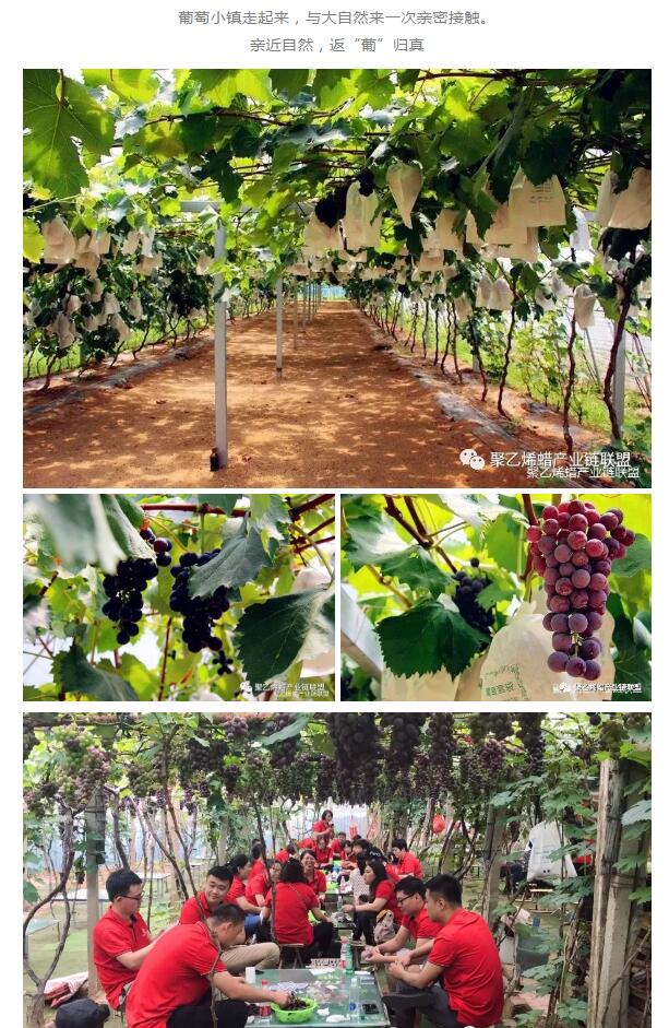 聚乙烯蜡生产厂家